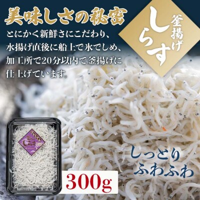 釜揚げしらす「銀凪」入3点セット(合計700g) ym-0009