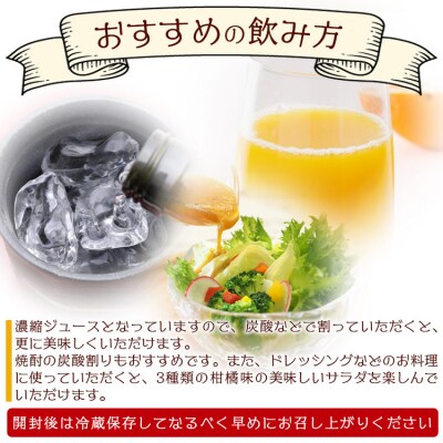 みかん農家の手搾り自家製ジュース(300ml) 3本セット eh-0032