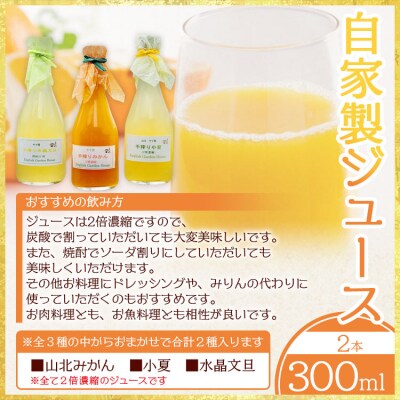 みかん農家の手搾り自家製ジュースと季節の自家製ジャムのおまかせセット eh-0034