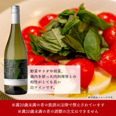 高知県産ワイン tosa cavatina 山北シャルドネ2022(750ml×1本)iw-0004