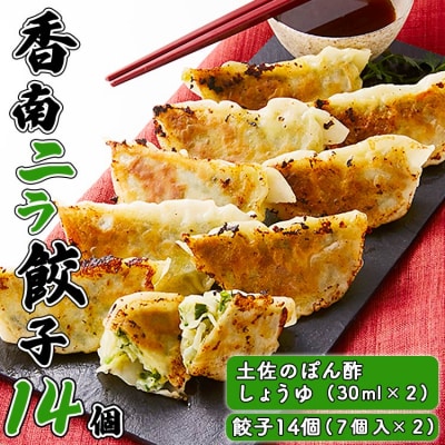 ニラのまち香南市 香南ニラ餃子14個 tw-0005