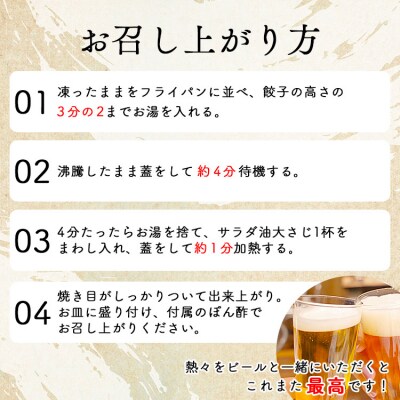 ニラのまち香南市 香南ニラ餃子14個 tw-0005