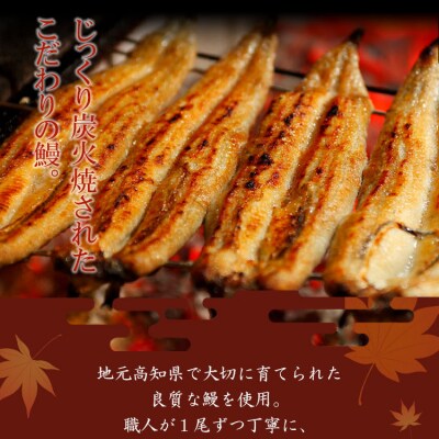 【炭火手焼】うなぎの蒲焼 130g×2尾セット 蒲焼のたれ付き fb-0141