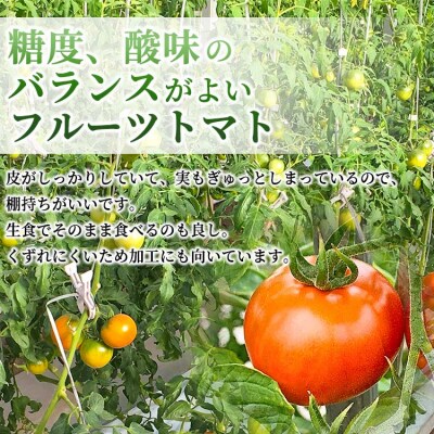 夜須町産フルーツトマト 2kg箱入り - トマト フルーツトマト 野菜 贈り物 ga-0005