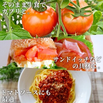 夜須町産フルーツトマト 2kg箱入り - トマト フルーツトマト 野菜 贈り物 ga-0005