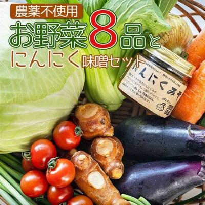 農薬不使用のお野菜8品とにんにく味噌のセット pr-0011