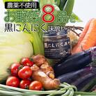農薬不使用のお野菜8品と黒にんにく味噌のセット pr-0012