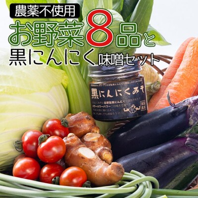 農薬不使用のお野菜8品と黒にんにく味噌のセット pr-0012