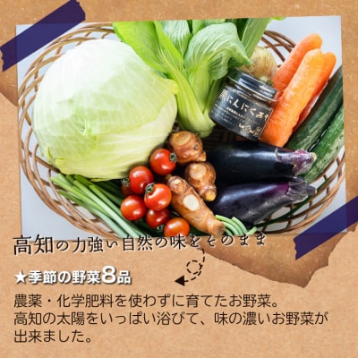 農薬不使用のお野菜8品と黒にんにく味噌のセット pr-0012