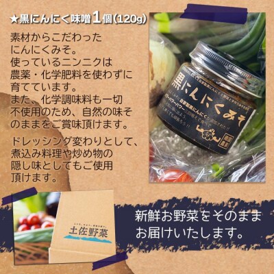 農薬不使用のお野菜8品と黒にんにく味噌のセット pr-0012