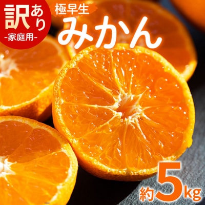 家庭用 訳あり 極早生みかん 約5kg - 家庭用 フルーツ みかん 柑橘 be-0068
