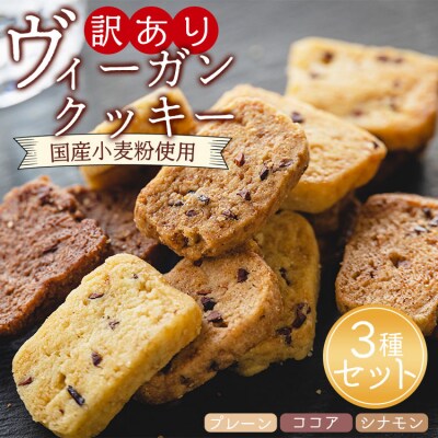 訳あり ヴィーガンクッキー3種 合計9個 (プレーン味、ココア味、シナモン味) an-0016