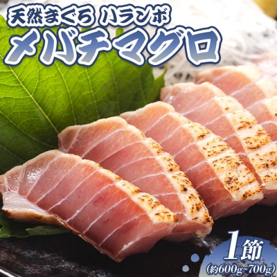 マグロ 1節 天然マグロ メバチマグロ ハランボ(腹身) たたきのタレ付き oo-0004