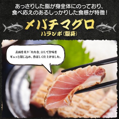 マグロ 1節 天然マグロ メバチマグロ ハランボ(腹身) たたきのタレ付き oo-0004