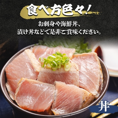 マグロ 1節 天然マグロ メバチマグロ ハランボ(腹身) たたきのタレ付き oo-0004