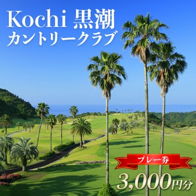 ゴルフプレー券 Kochi 黒潮カントリークラブ 3,000円分 ki-0001