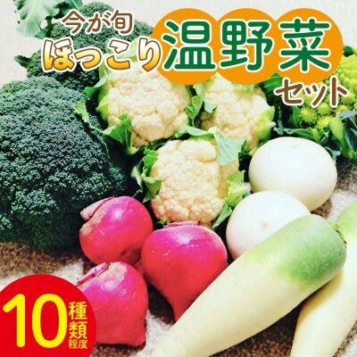 野菜セット まさに旬 ほっこり温野菜セット sy-0006