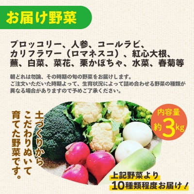 野菜セット まさに旬 ほっこり温野菜セット sy-0006