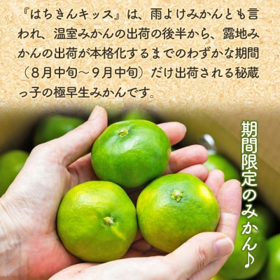 【秀品】みかん 5kg 小玉 はちきんキッス(雨よけみかん) 先行受付 ku-0040