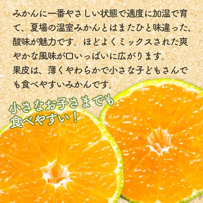 【秀品】みかん 5kg 小玉 はちきんキッス(雨よけみかん) 先行受付 ku-0040