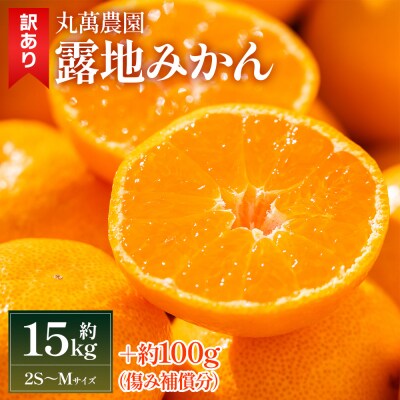【2025年出荷分】訳あり みかん 15kg 小玉(2S～Mサイズ)家庭用 丸萬農園 mn-0006