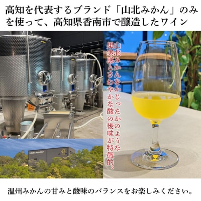 ワイン 山北みかんワイン 1本 750ml iw-0006