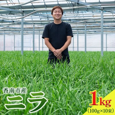 ニラ にら 1kg(100g×10束) 香南市産のニラ kk-0001