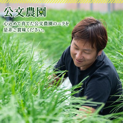 ニラ にら 1kg(100g×10束) 香南市産のニラ kk-0001