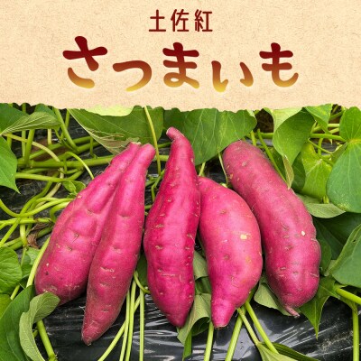 【土佐紅】さつまいも Mサイズ 2kg at-0001