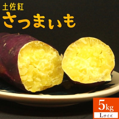 【土佐紅】さつまいも Lサイズ 5kg at-0005
