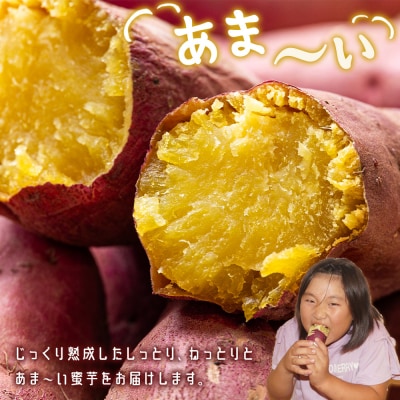 【紅はるか】さつまいも スイーツ Mサイズ 2kg at-0007