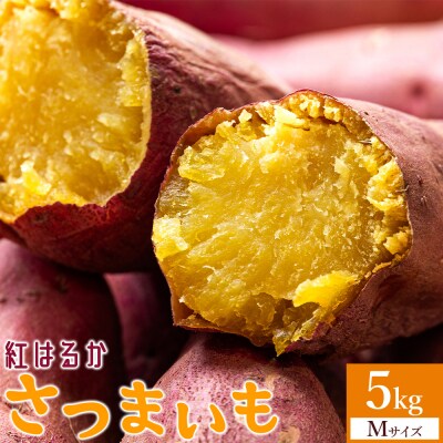 【紅はるか】さつまいも スイーツ Mサイズ 5kg さつまいも(紅はるか) at-0008