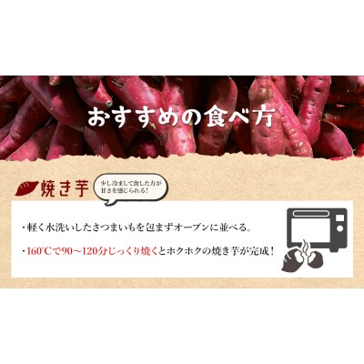 【紅はるか】さつまいも スイーツ Mサイズ 5kg さつまいも(紅はるか) at-0008
