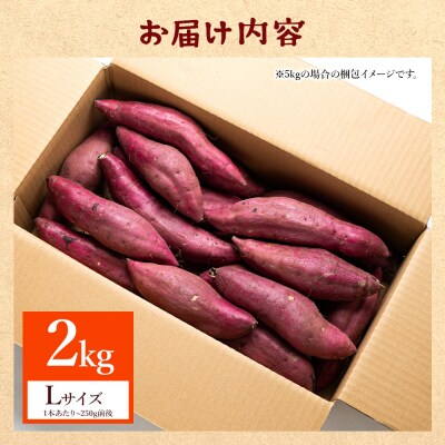 【紅はるか】さつまいも スイーツ Lサイズ 2kg at-0010