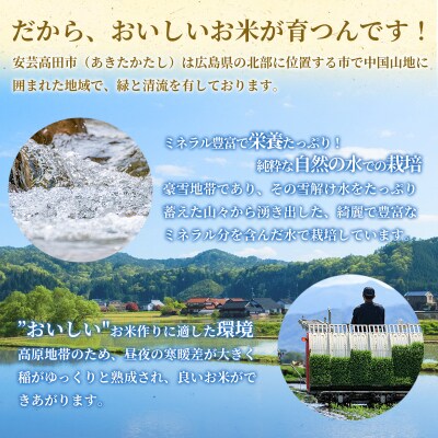 米 コシヒカリ 8kg 広島県安芸高田市産 白米 精米[No5895-0157]