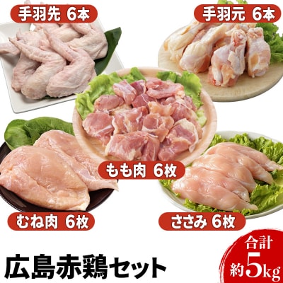 『広島赤どり』 むね・もも・ささみ・手羽先・手羽元　計5kg[No5895-0162]