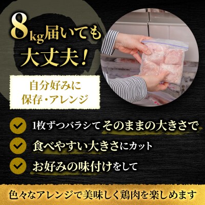 鶏肉 広島熟成どり むね肉 8kg (2kg×4) [No5895-0164]