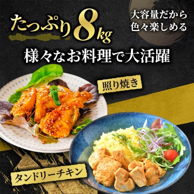鶏肉 広島熟成どり むね肉 8kg (2kg×4) [No5895-0164]