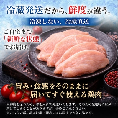 鶏肉 セット 広島熟成どり 8kg(むね肉6kg・ささみ2kg) [No5895-0167]