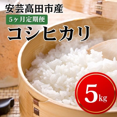米 【5ヶ月お届け】令和7年産　安芸高田市産コシヒカリ5kg 精米定期便[No5895-0200]