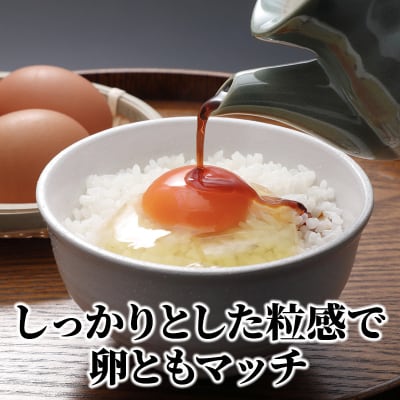 米 【5ヶ月お届け】令和7年産　安芸高田市産コシヒカリ5kg 精米定期便[No5895-0200]