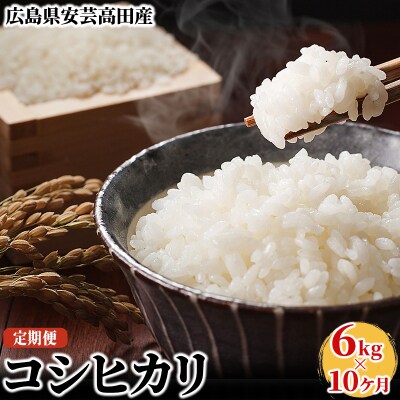 米 【10ヶ月お届け】令和5年産 安芸高田市産 コシヒカリ 6kg[No5895-0201]