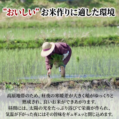 米 【10ヶ月お届け】令和5年産 安芸高田市産 コシヒカリ 6kg[No5895-0201]