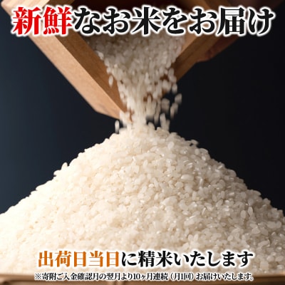 米 【10ヶ月お届け】令和5年産 安芸高田市産 コシヒカリ 6kg[No5895-0201]