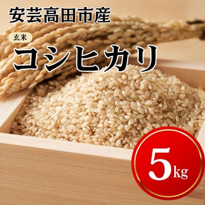 米 令和7年産　安芸高田市産コシヒカリ『玄米』 5kg  [No5895-0252]