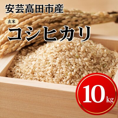 米 令和7年産 安芸高田市産コシヒカリ『玄米』10kg (5kg×2袋) [No5895-0254]