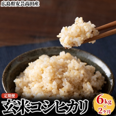 米 【2ヶ月お届け】令和5年 安芸高田市産コシヒカリ『玄米』6kg[No5895-0255]