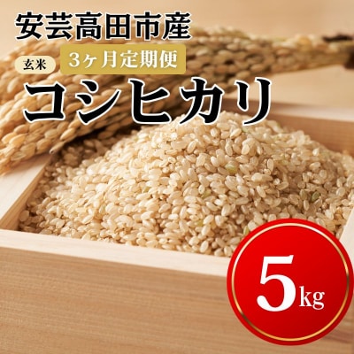 米 【3ヶ月お届け】令和7年産コシヒカリ『玄米』5kg お米 定期便 [No5895-0256]