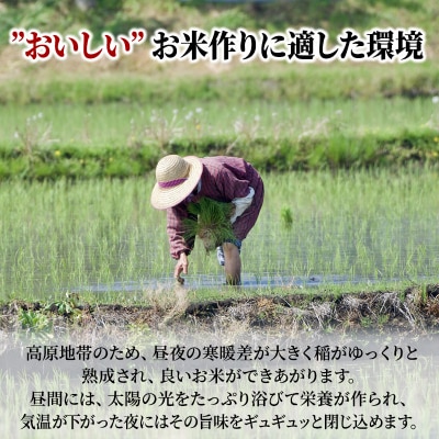 米 令和6年産 安芸高田市産ミルキークイーン『玄米』4kg[No5895-0259]