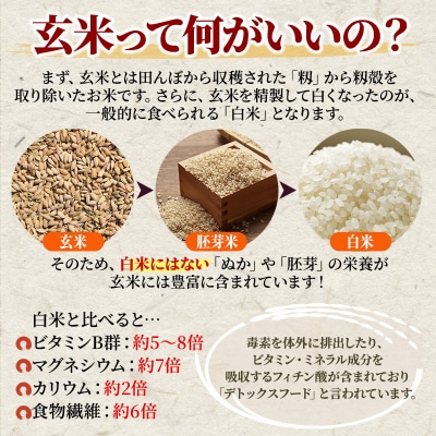 米 令和6年産 安芸高田市産ミルキークイーン『玄米』4kg[No5895-0259]